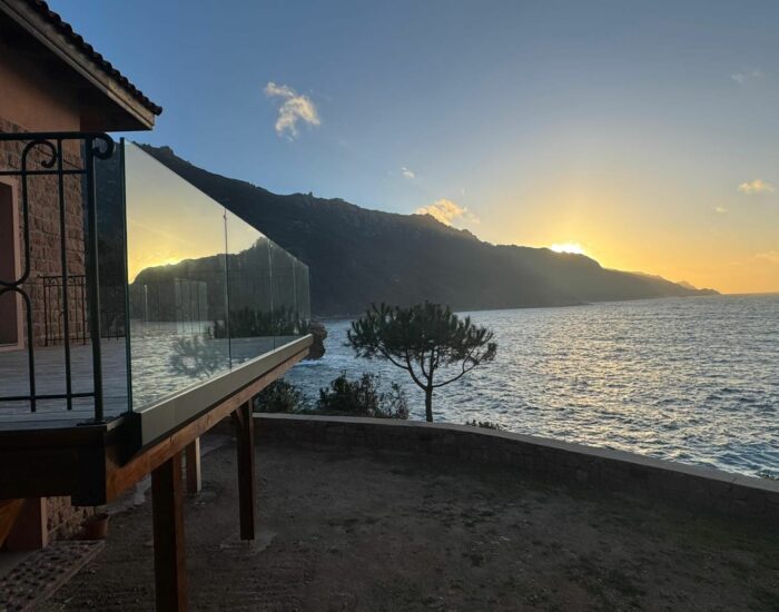 WhatsApp Image 2025-02-13 at 16.17.26